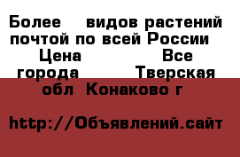 Более200 видов растений почтой по всей России › Цена ­ 100-500 - Все города  »    . Тверская обл.,Конаково г.